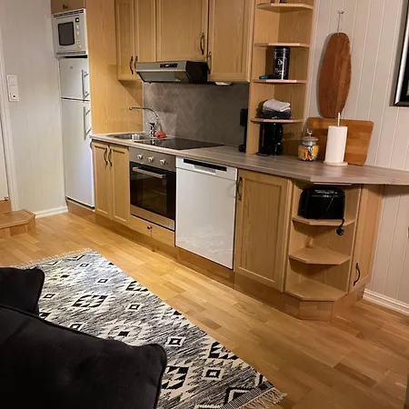 Lovely 50M2 Apartment With Fjord View And Free Parking-Askollen - Drammen
