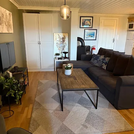 Lovely 50M2 Apartment With Fjord View And Free Parking-Askollen - Drammen Lejlighed *
